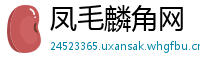 凤毛麟角网
